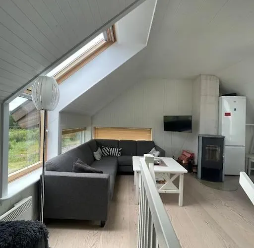 Moderne Med Badstue Og Havutsikt