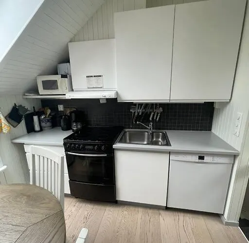Lägenhet Moderne Med Badstue Og Havutsikt